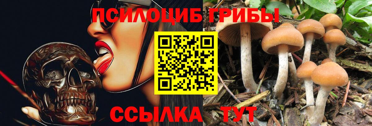 Кызыл  Псилоцибиновые грибы Cubensis  где купить наркоту  Вход с VPN 